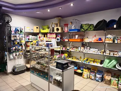 Sklep wędkarsko-zoologiczny i sportowy TAMAJ